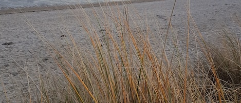 Nær stranden og solsenger