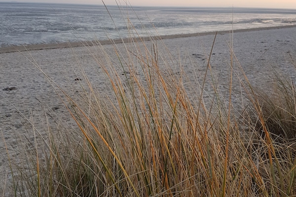 Ranta lähistöllä, aurinkotuoleja