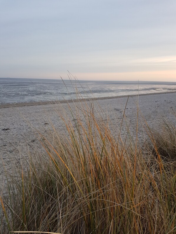 Beach nearby, sun-loungers - Charming cottage "N° 11" with garden near the beach for 4 people (Wangerland)