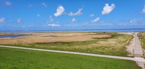 Un paysage côtier avec une zone herbeuse, un sentier et une vue sur la mer.