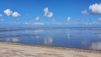 Vlak bij het strand, ligstoelen aan het strand