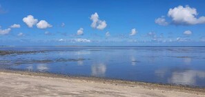Playa en los alrededores y camastros