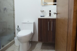 Secador de cabelo, toalhas de banho