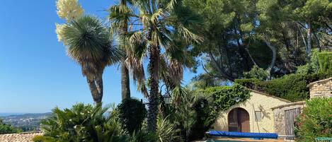 屋外プール、温水プール