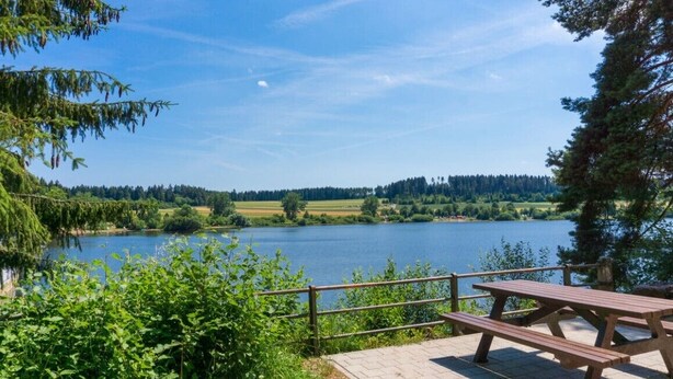 A lakeside picnic area with a wooden bench and picnic table, surrounded by greenery and a clear view of the lake and distant trees. - Schwarzwaldmarie Ferienwohnung (löffingen)