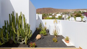Un jardin sur le toit, agrémenté de cactus et de petites plantes, avec des murs blancs et une vue sur une ville et des montagnes en arrière-plan.
