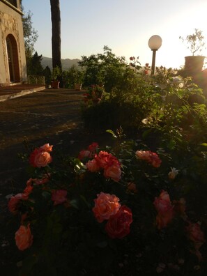 Enceinte de l’hébergement