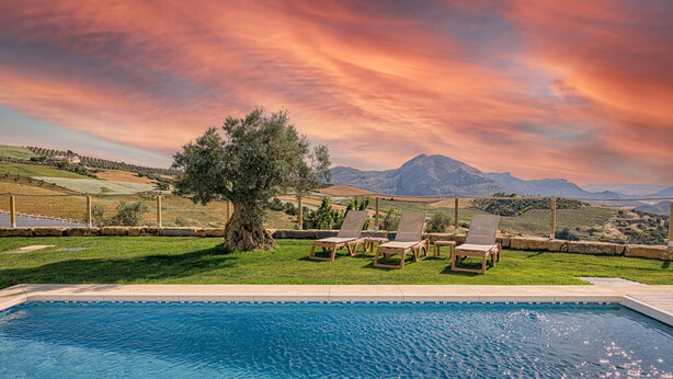 A pool with lounge chairs and a tree, surrounded by a landscaped garden and mountains in the background.