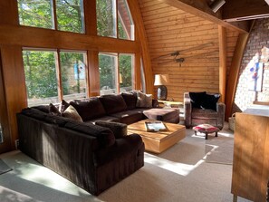 电视、壁炉、DVD 播放器、立体声音响