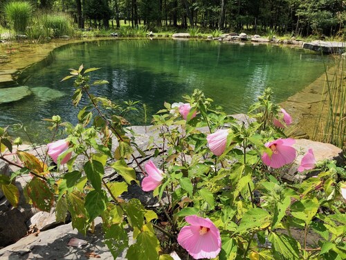 LARGE COZY HOME Pool/Pond! 5 Br., 4 Baths. Sleeps 11, Pvt. Quiet, Grill, Firepit