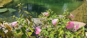 LARGE COZY HOME Pool/Pond! 5 Br., 4 Baths. Sleeps 11, Pvt. Quiet, Grill, Firepit