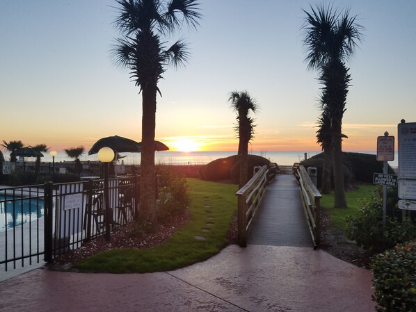 A pathway leading to a pool area with a sunset view, palm trees, and a sign indicating no pets allowed in the lawn area.