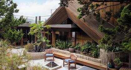 Architectural Masterpiece on Windansea Beach - Family and Pet Friendly!