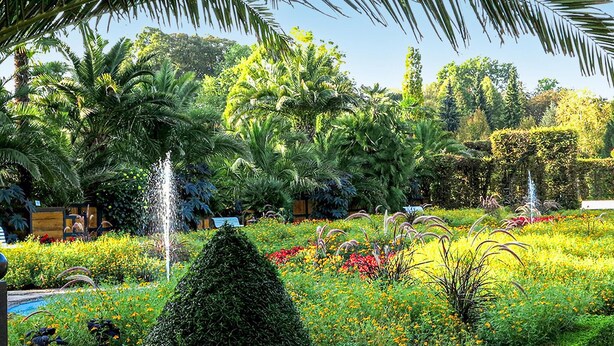 Un jardin luxuriant, avec une variété de plantes, une fontaine et des haies soigneusement taillées.