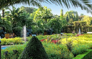 Stroll through a serene garden surrounded by lush greenery and a tranquil fountain.
