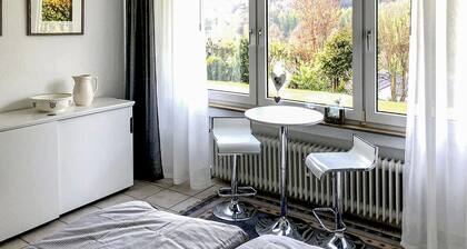 2 bedroom cozy apartment in Bad Pyrmont