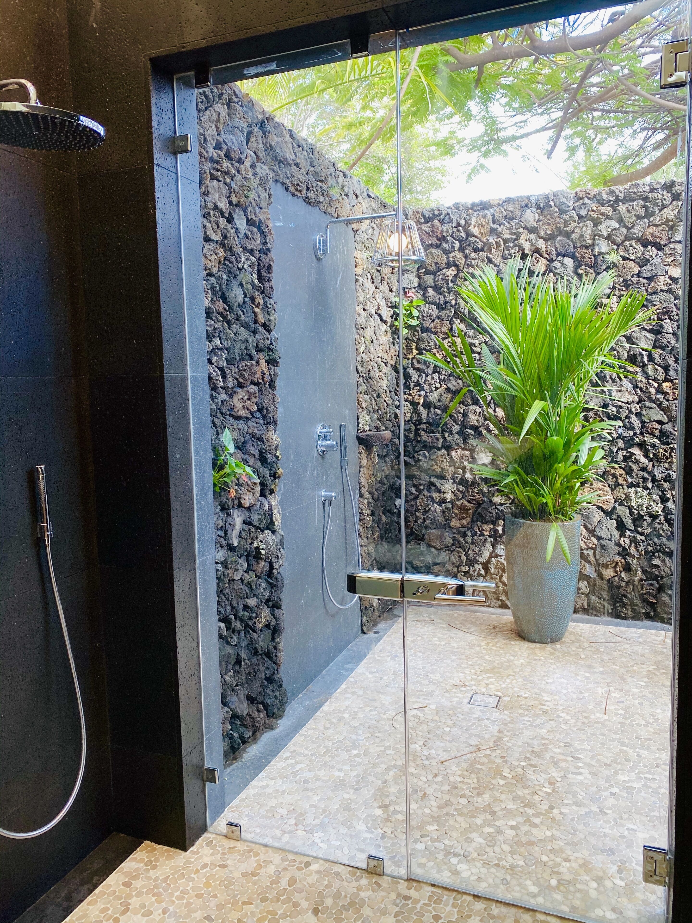 A modern shower enclosure with a glass door, a stone wall, and a potted plant.