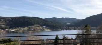 La Goutte d'Eau, upscale apartment with lake view and Finnish bath.