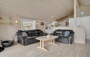 تلفزيون، مدفأة