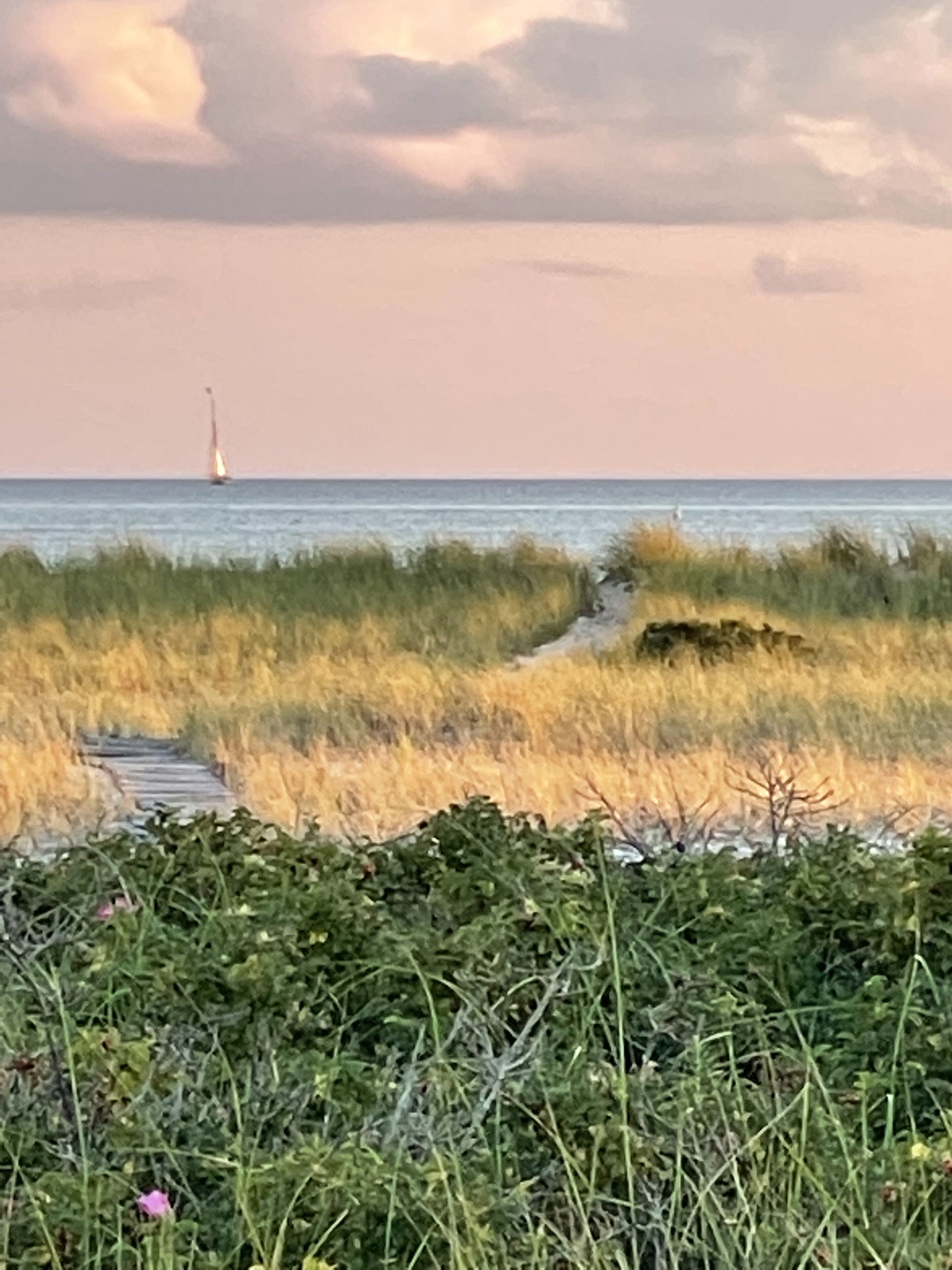 Een kustlandschap met een pad dat naar de zee leidt, een zeilboot in de verte en een grasveld op de voorgrond.