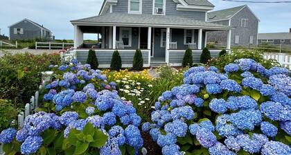 Beachfront on our private beach! Driftwood Cottage - Pipers' Shore