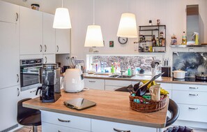 Kühlschrank, Ofen, Herdplatte, Geschirrspüler