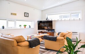 Smart-TV, Kamin
