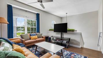 TV connectée, cheminée, lecteur de DVD