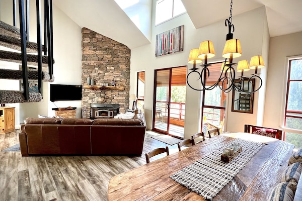 TV connectée, cheminée, lecteur de DVD, livres