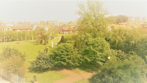 Un quartier résidentiel avec des maisons, un parc et un grand arbre.