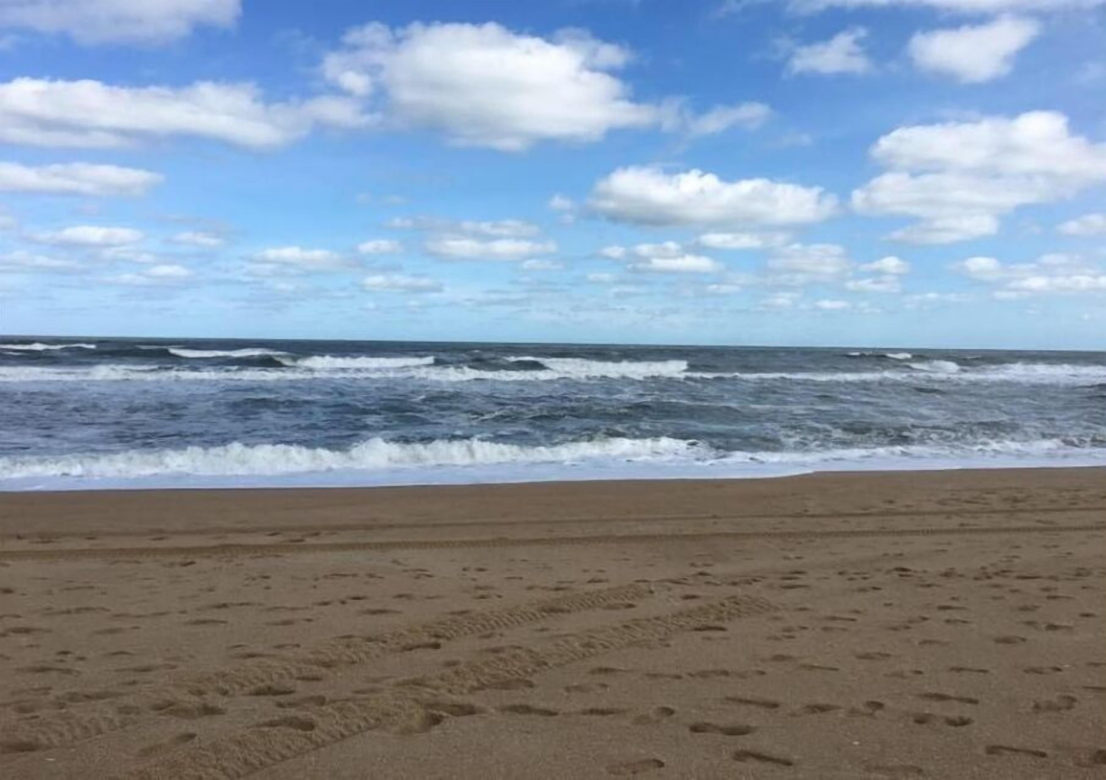 在海灘附近、沙灘巾