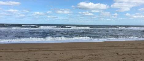 Plage à proximité, serviettes de plage