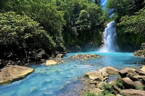 A clear, rocky river surrounded by dense green foliage and a waterfall.