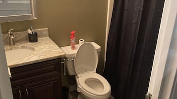 Shower, soap, toilet paper