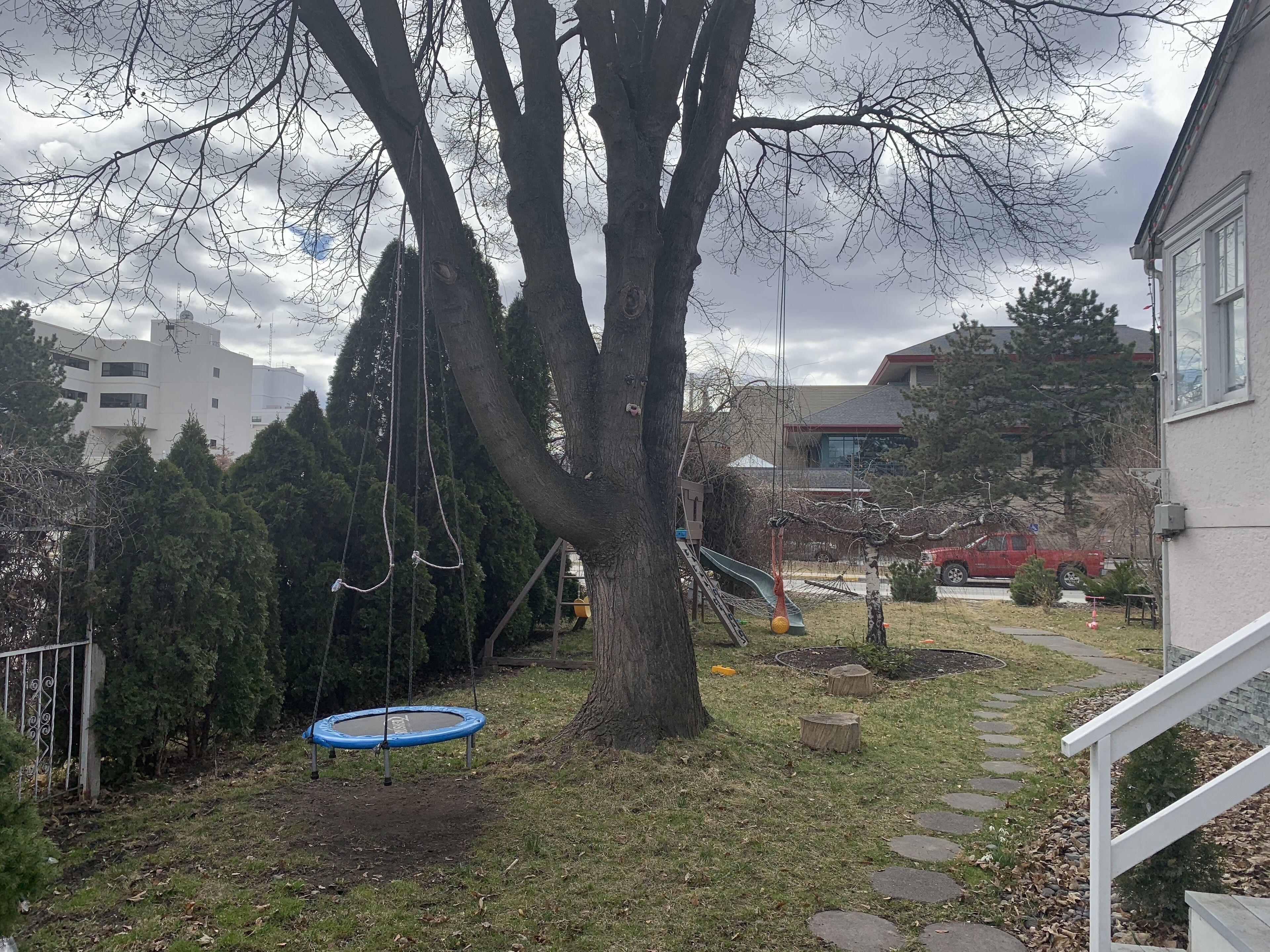 Un patio trasero con un trampolín, un árbol y un columpio.