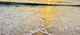 Celina Peninsula Resort