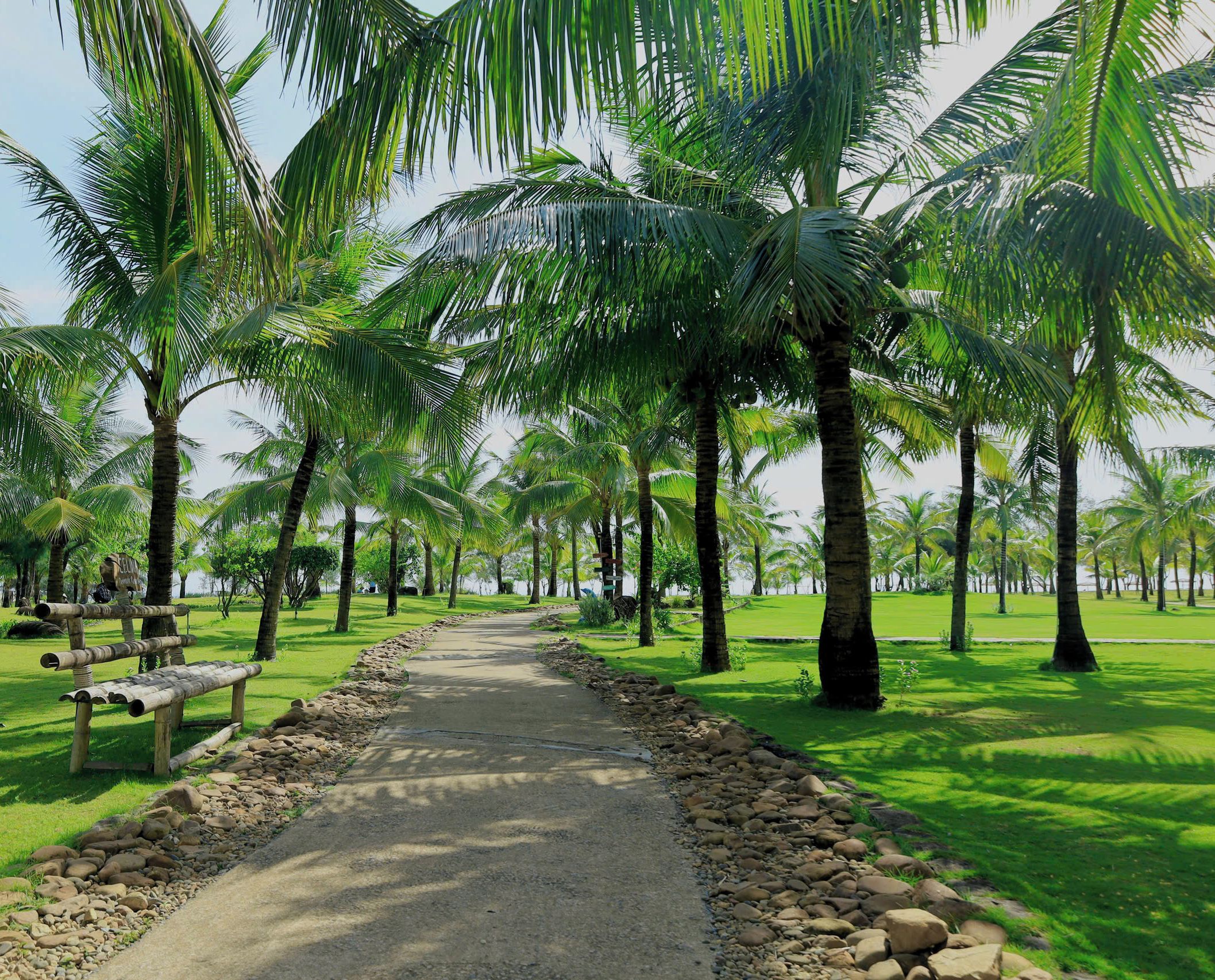 A pathway lined with palm trees, a wooden bench, and a sign for Celina Peninsula Resort.