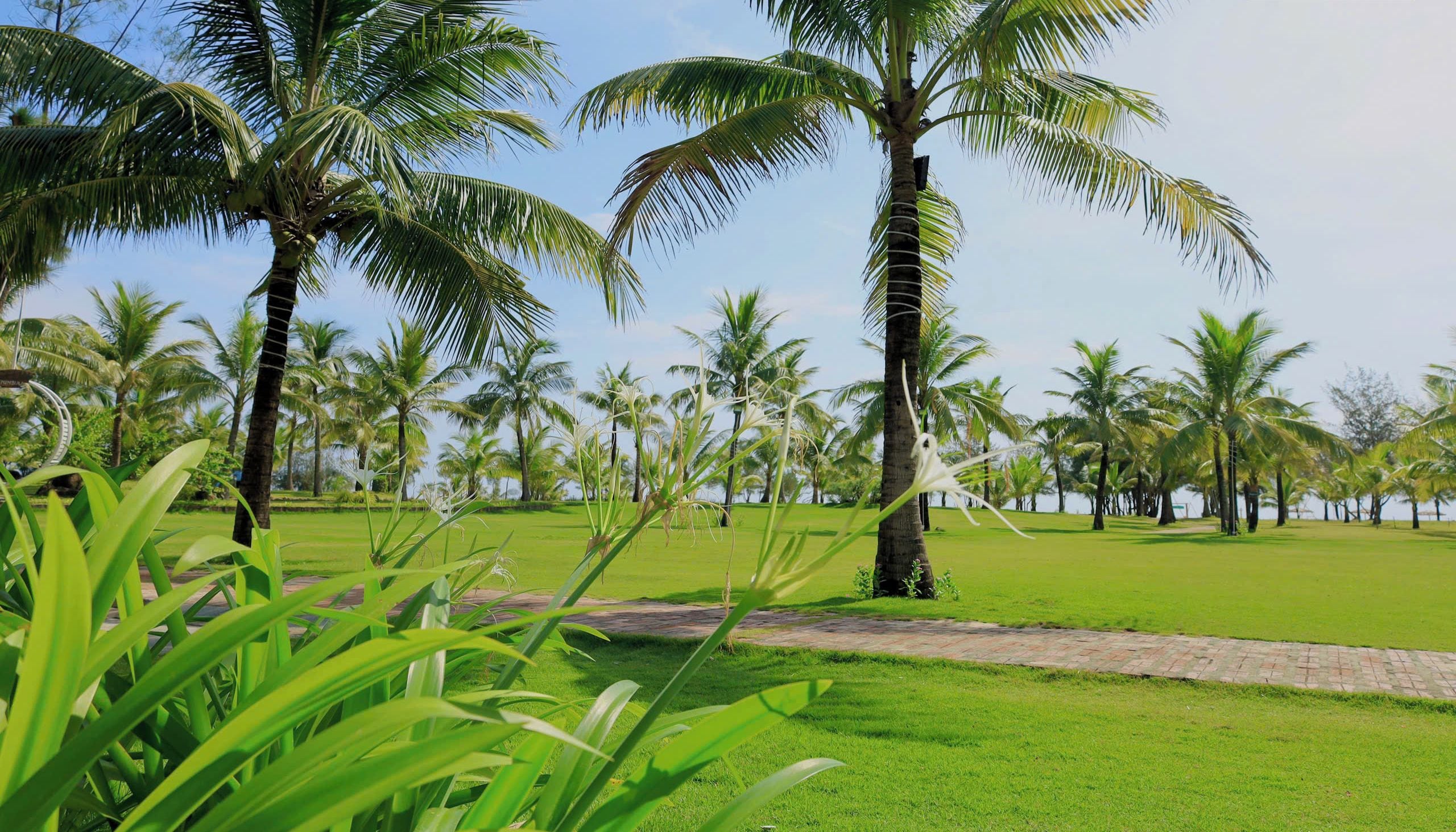 A lush green landscape with palm trees and a clear sky.