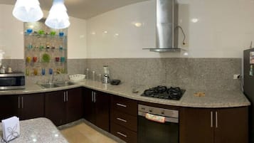 Fridge, oven, stovetop, dishwasher