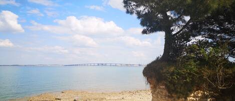 Plage à proximité, serviettes de plage
