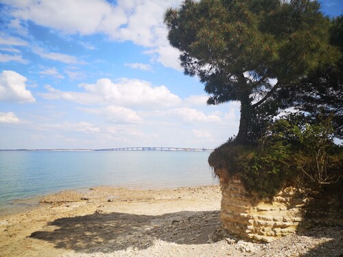 Sea-face villa with a sprawling sea view terrace with direct access to the shore