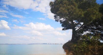 Sea-face villa with a sprawling sea view terrace with direct access to the shore