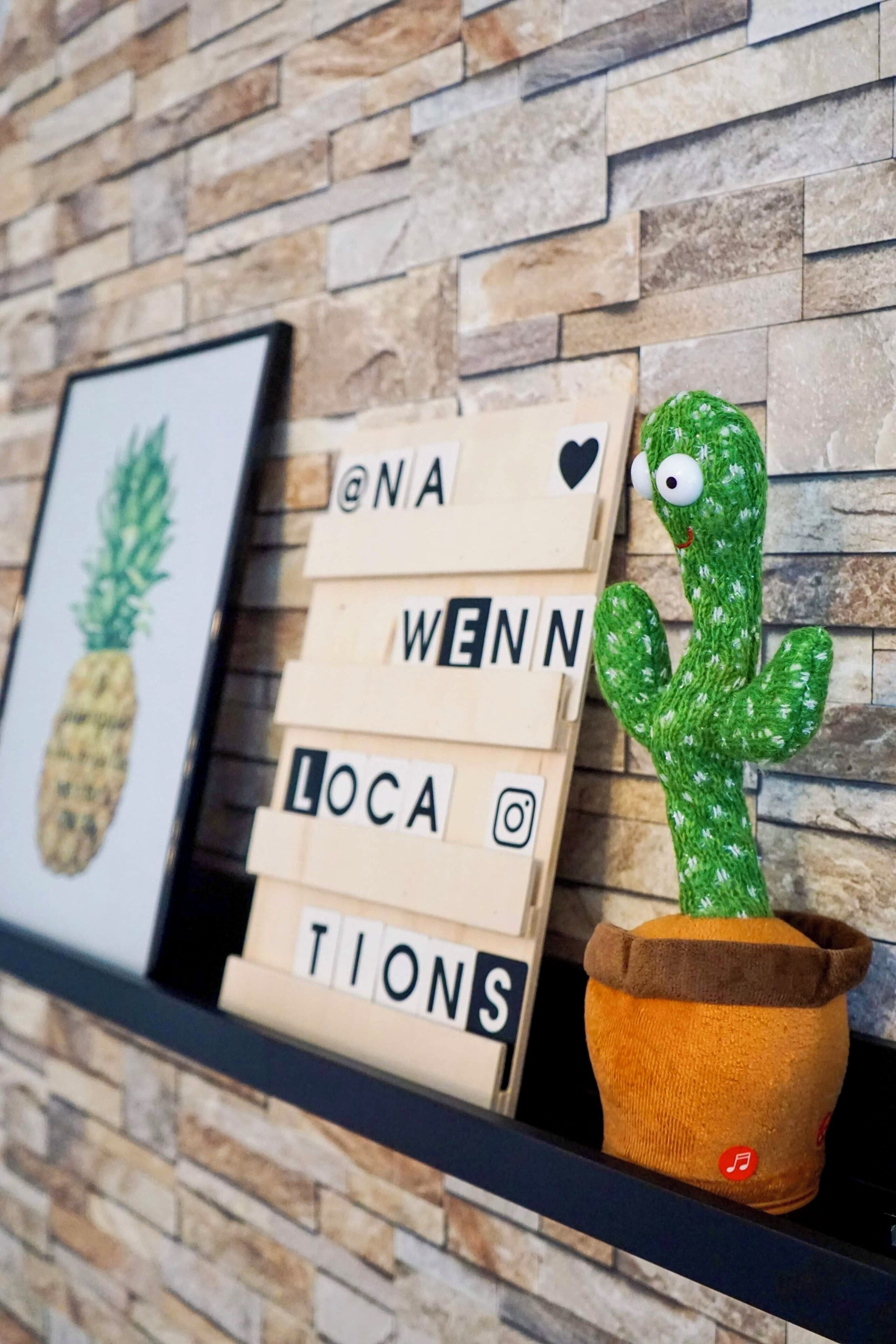 Un cactus dans un pot, posé sur une étagère, avec une pancarte en bois sur laquelle on peut lire : « LIEUX ».