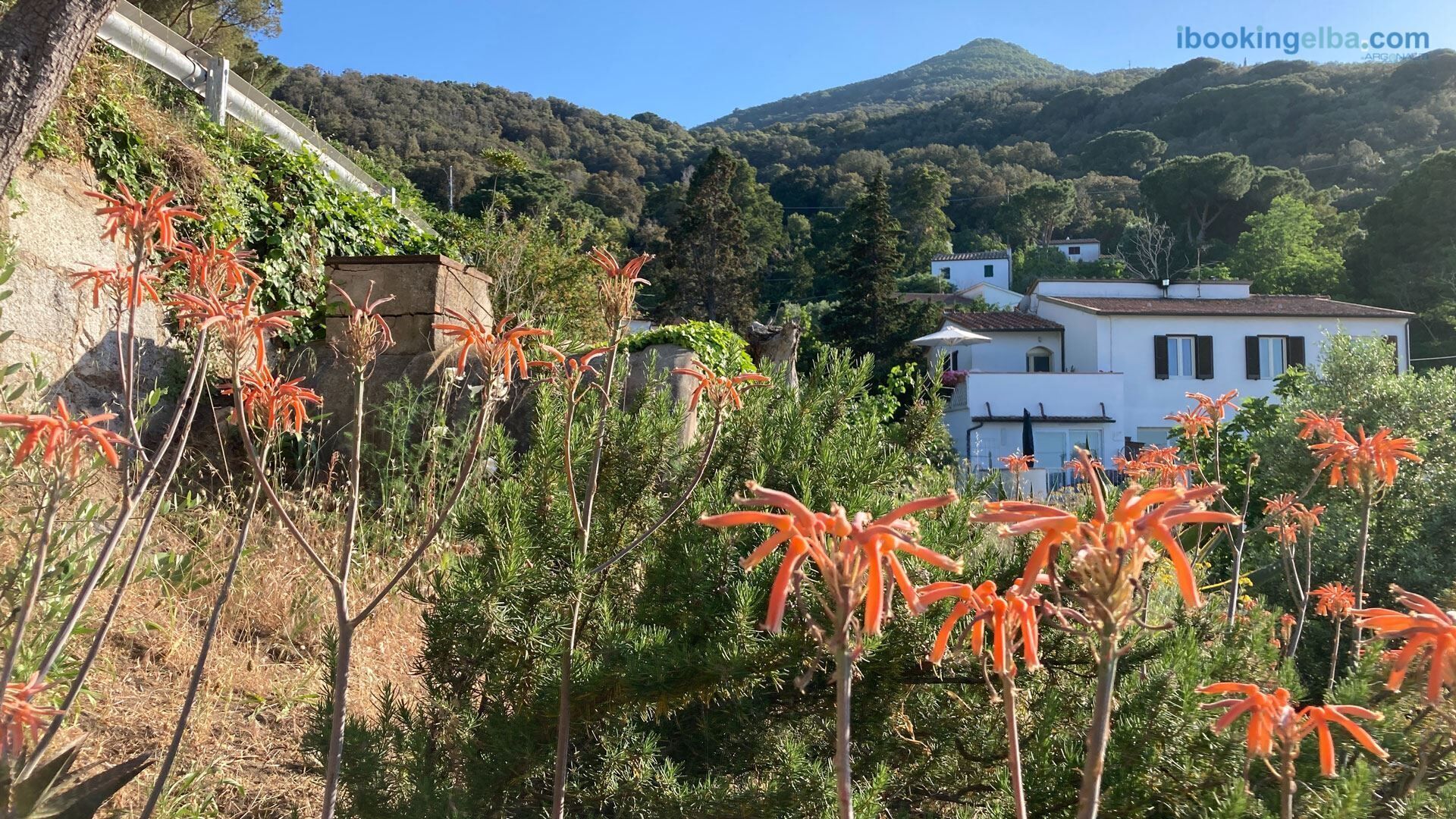 A hillside view with a white building, surrounded by greenery and orange flowers.