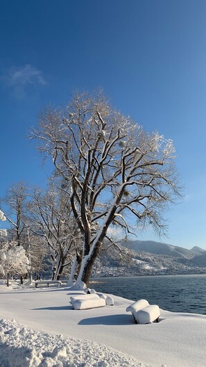 Uklassifisert bilde, 5 av 33, knapp