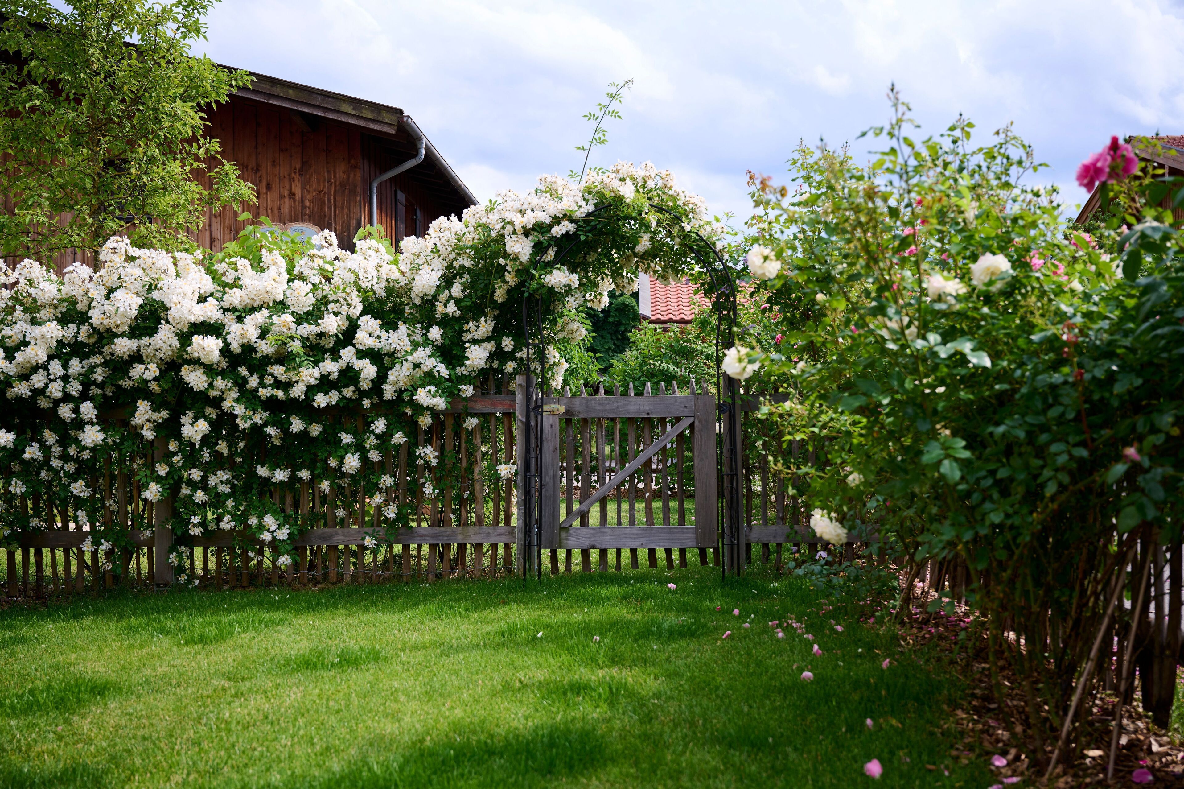 Jardines del alojamiento
