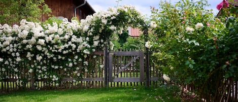 Área da propriedade