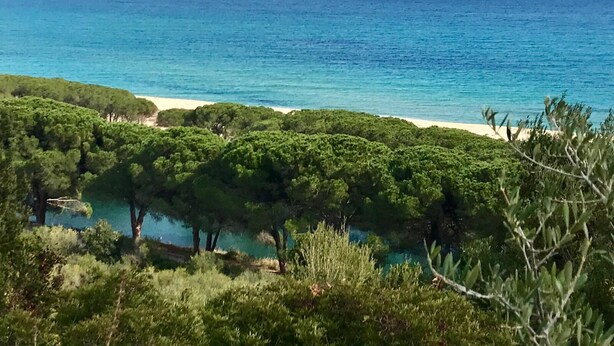 A coastal landscape with a beach, dense greenery, and a clear view of the ocean. - Casa Santa Rughe (Orosei (NU))