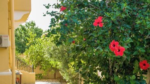 Ein schmaler Pfad, gesäumt von üppiger Vegetation und leuchtend roten Blüten, der zu einem Gebäude mit gelbem Anstrich und einer sichtbaren Klimaanlage führt.