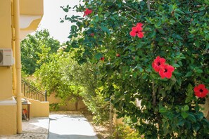 A narrow pathway flanked by lush greenery and vibrant red flowers, leading to a building with a yellow facade and a visible air conditioning unit.